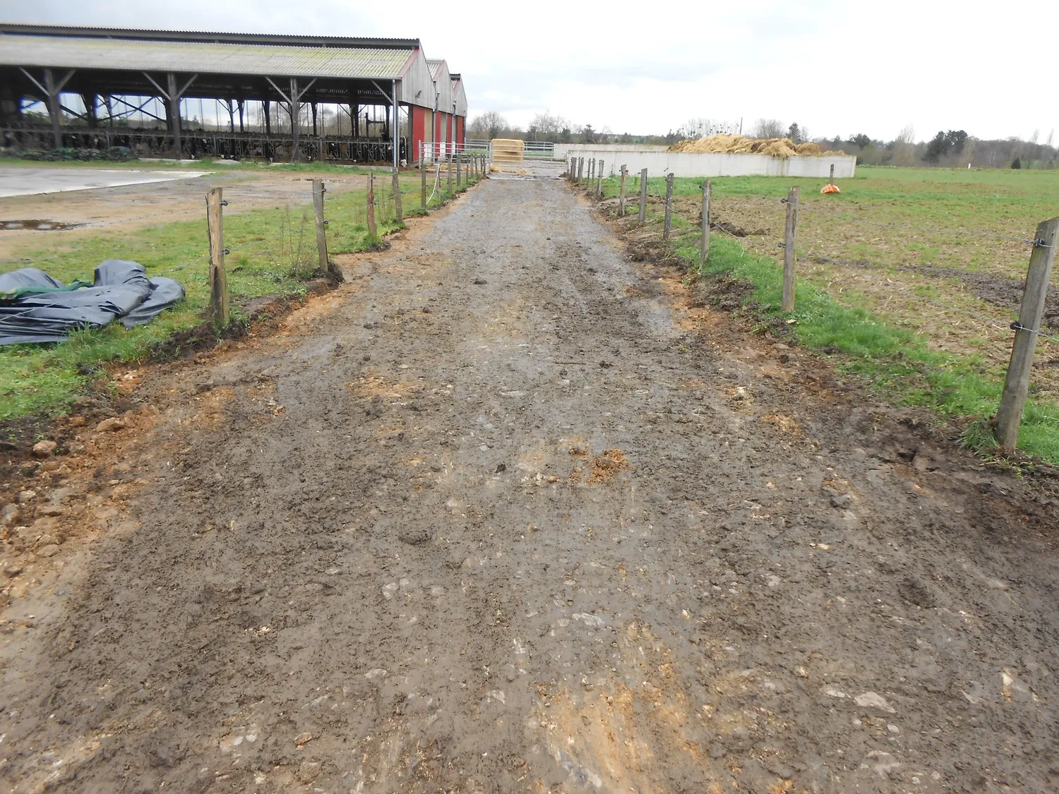 before-image